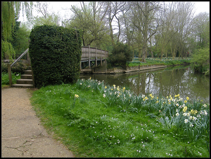 footbridge on Addison's Walk