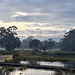 Wetlands with Mt Lofty in background after a storm