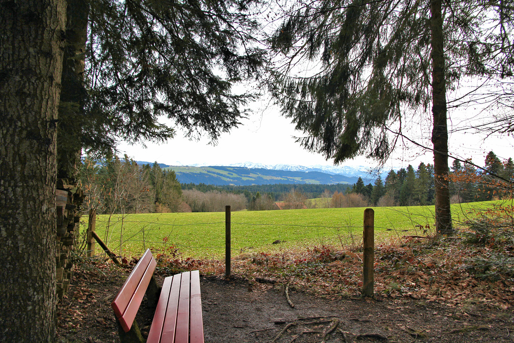 HBM - auf dem Trimm-Dich-Pfad in Scheidegg