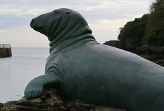 Nelson the grey seal