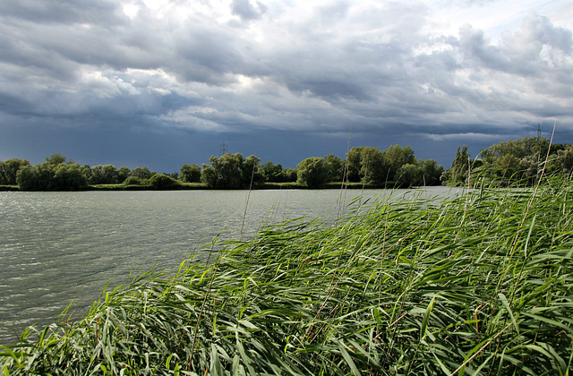 ... an der "Blauen Adria"