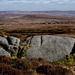 a view East to the Derwent Moors