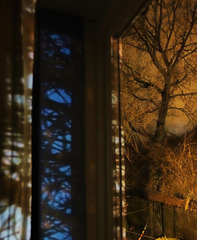 Night Shadows And Window Views