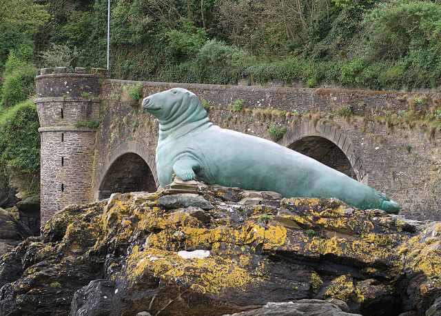 Nelson the grey seal
