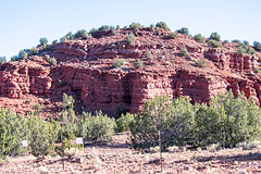 New Mexico landscape35