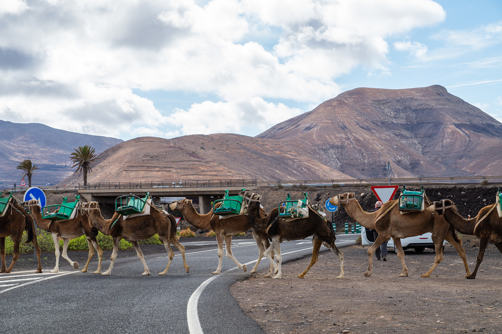 Lanzarote - Nationalpark Timanfaya