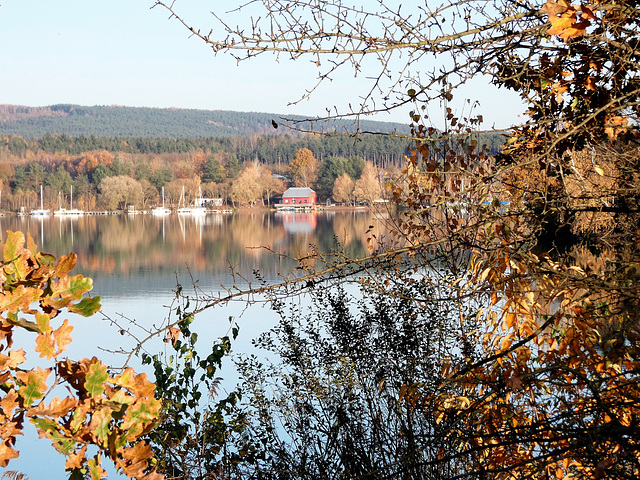 Herbst am Steinberger See