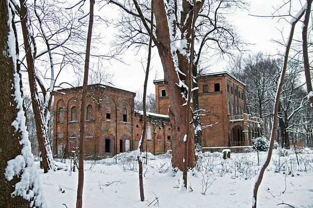 Haus Fühlingen 9