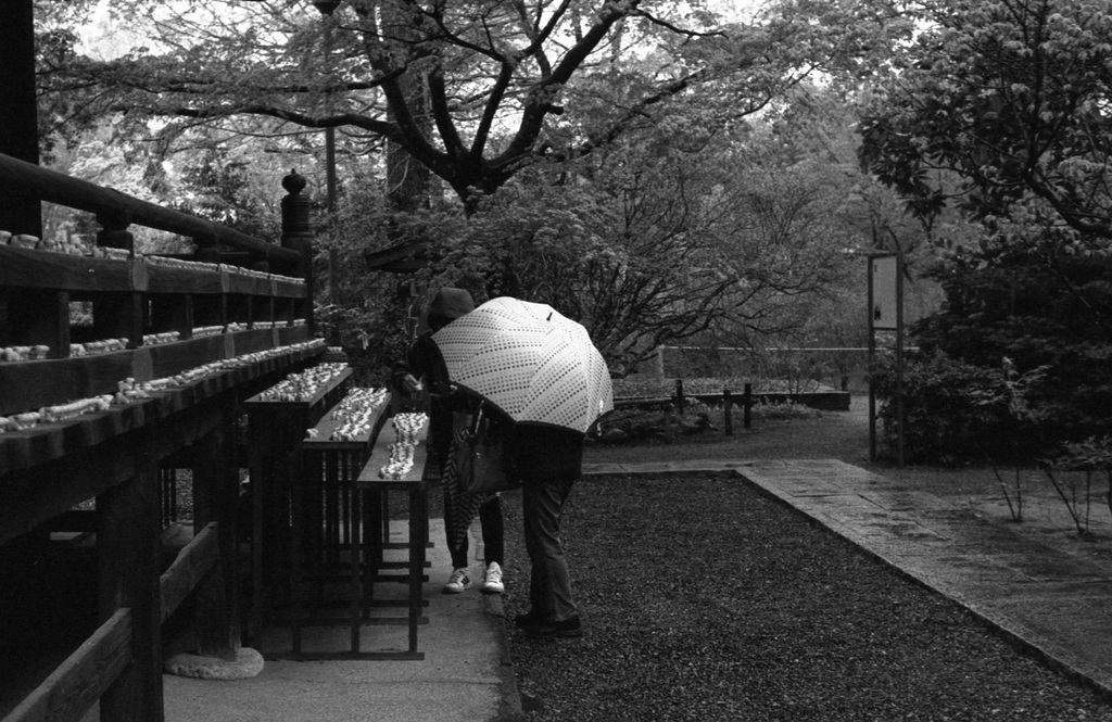 Parapluie