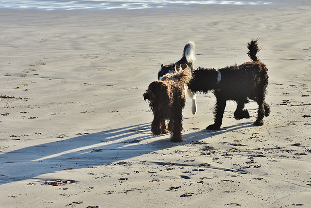 autumn at the beach