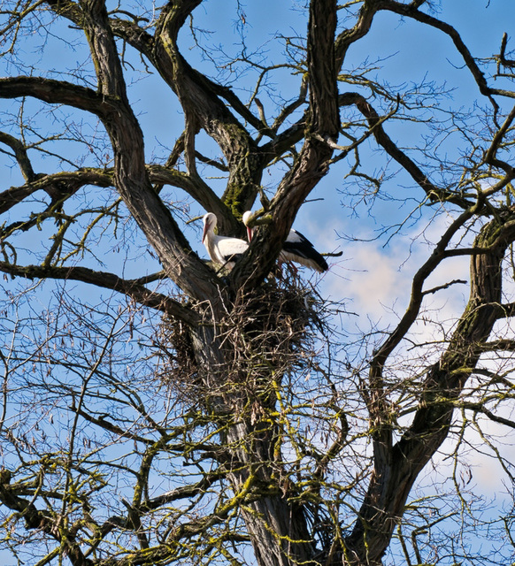 Zurück zur Natur