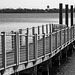 Dock, Bridgeton