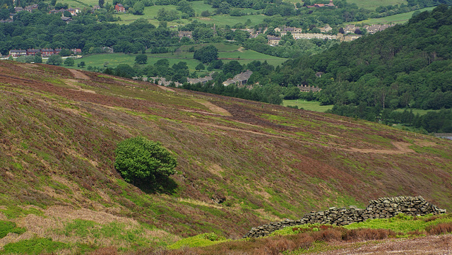 Old Glossop from Span Moor