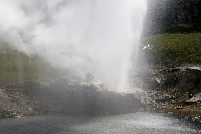 Riverside Geyser