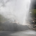 Riverside Geyser