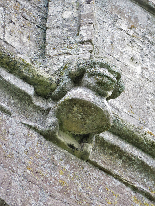 steeple ashton church wilts  (29)