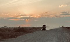 Sunrise safari.