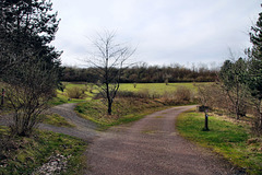 Schurenbachhalde, Essen-Altenessen / 2.03.2024