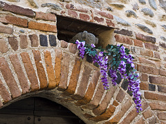 Above the lintel, a touch of color to the old walls