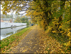 autumn canal path