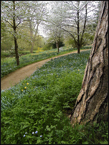 Magdalen walk in spring