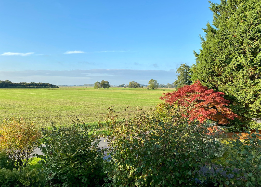 Blick aus dem Fenster
