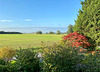 Blick aus dem Fenster