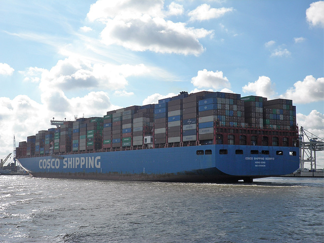 COSCO SHIPPING SCORPIO