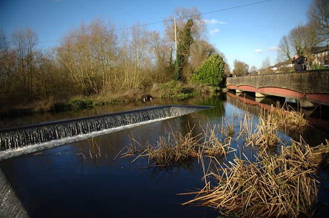 HFF from West Hyde ~ Grand Union Canal near CSP