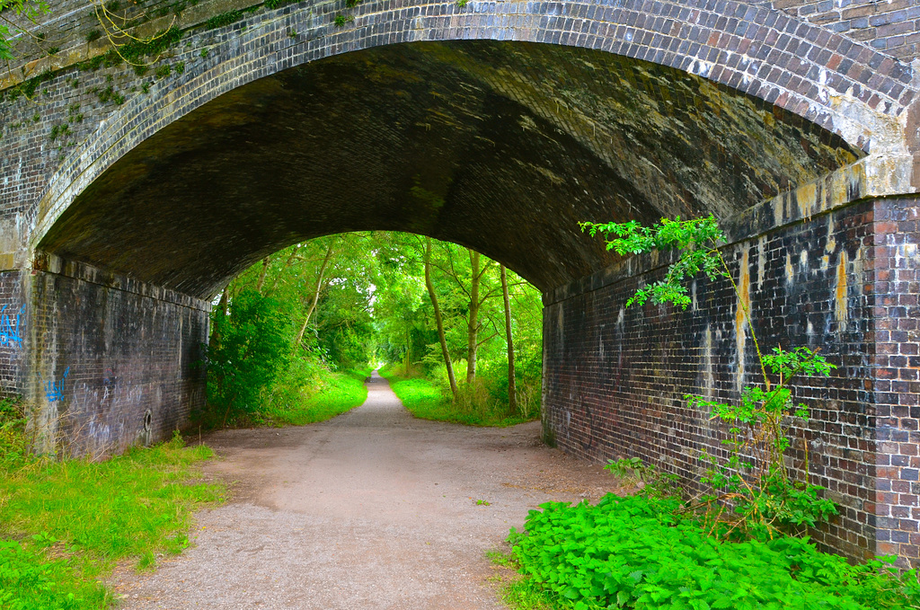 Disused railway, Haughton