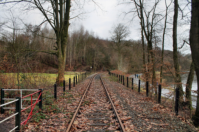 Die Hespertalbahn am Südufer des Baldeneysees (Essen-Kupferdreh) / 4.02.2017