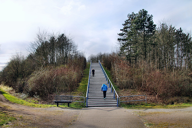 Treppe zum Haldenplateau (Schurenbachhalde, Essen-Altenessen) / 2.03.2024