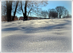 The colors of snow (pls. enlarge)