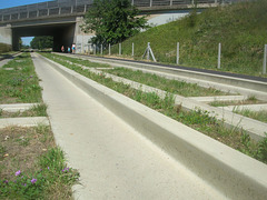 Cambridgeshire Guided Busway - 26 Jun 2011