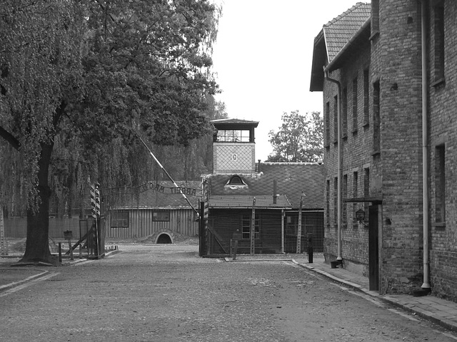 Auschwitz (21) - 19 September 2015