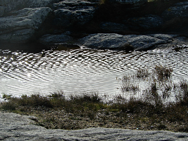 quand la mer se retire entre les rochers