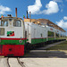St. Kitts Scenic Railway (10) - 12 March 2019