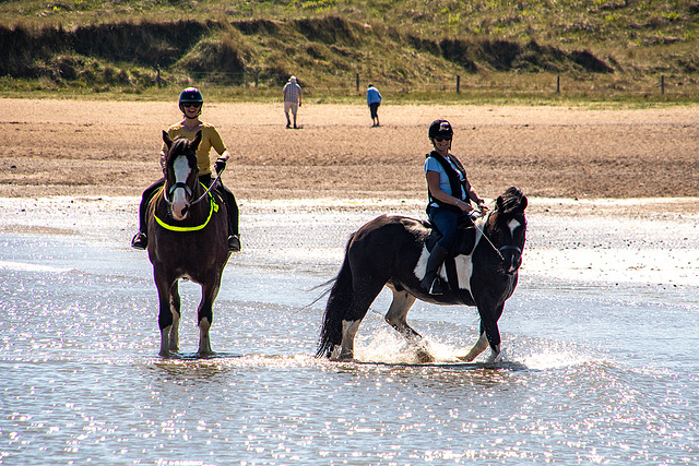 Horses enjoying the sea at Newborough beach