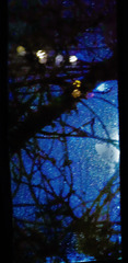 Night Shadows And Window Views
