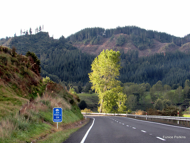 Nearing A Rest Area.