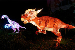Pachycephalosaurus wyomingensis (-70 à -66 millions d'années) Pachycephalosaurus wyomingensis (-70 à -66 millions d'années)