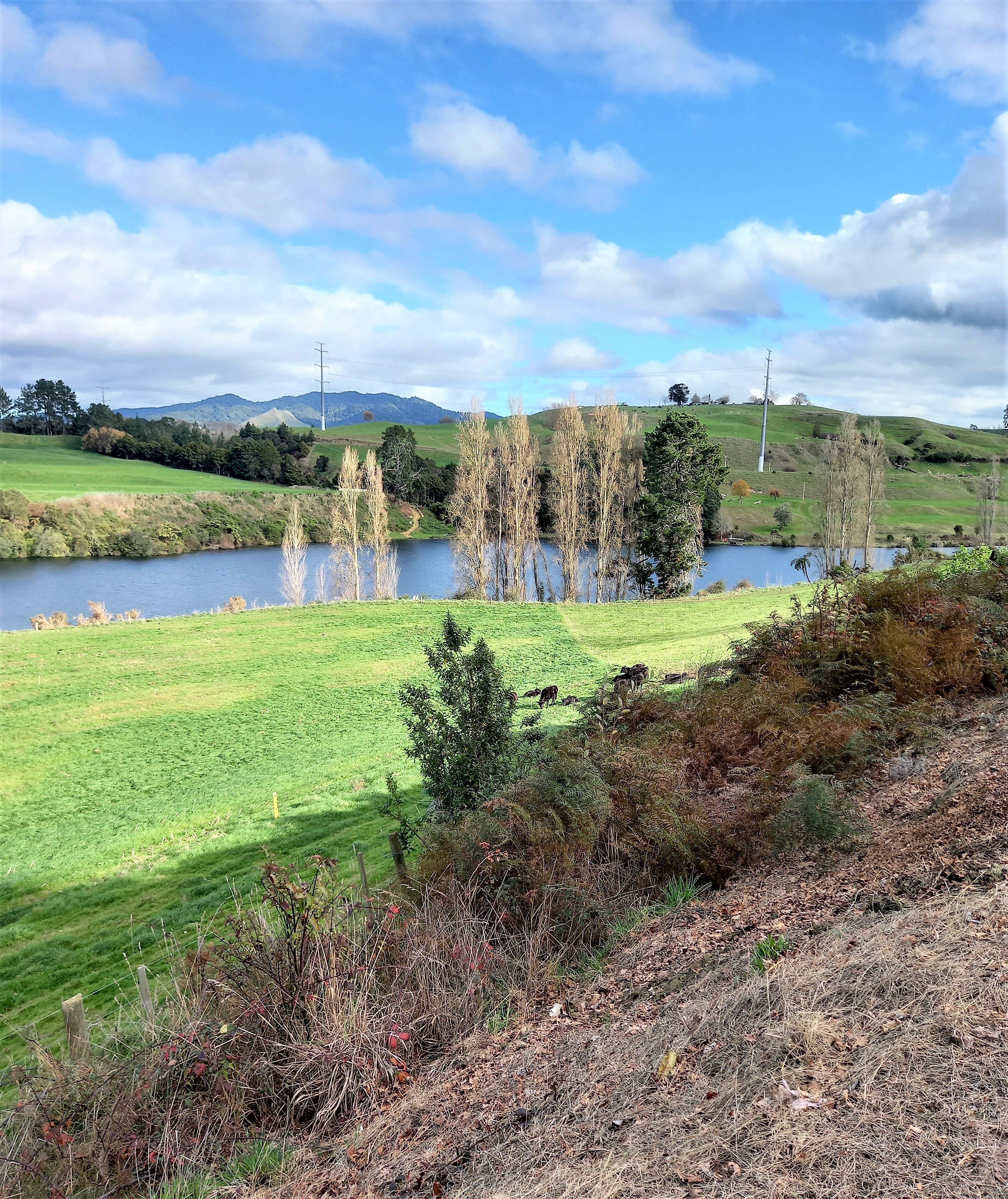 Waikato River