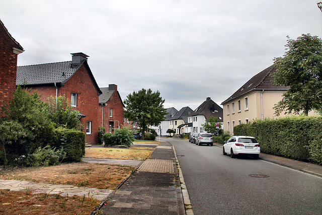 Georg-Herwegh-Straße (Marl-Hüls) / 27.08.2022