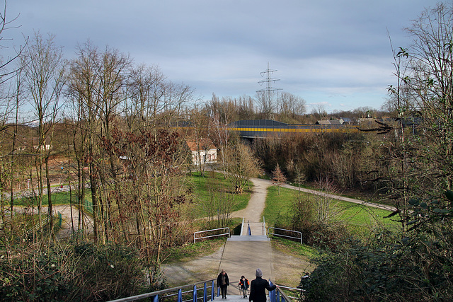 Blick von der Treppe (Schurenbachhalde, Essen-Altenessen) / 2.03.2024