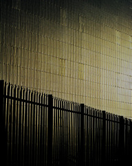 Fence,wall and sunlight