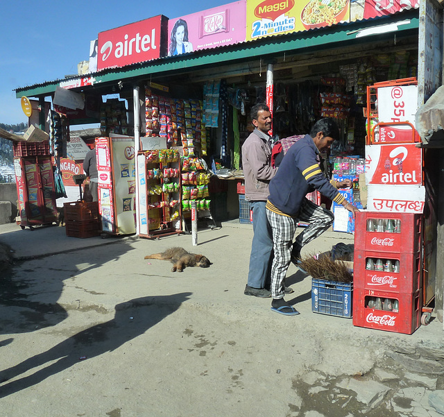 Fagu- Roadside Business