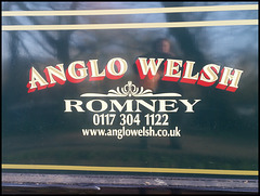Anglo Welsh Romney
