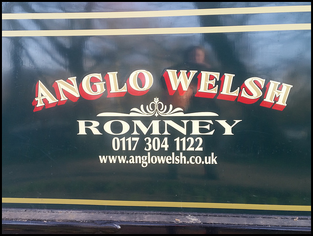 Anglo Welsh Romney