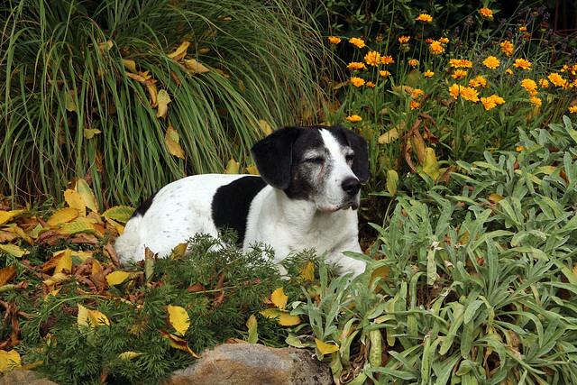 Herbst in August