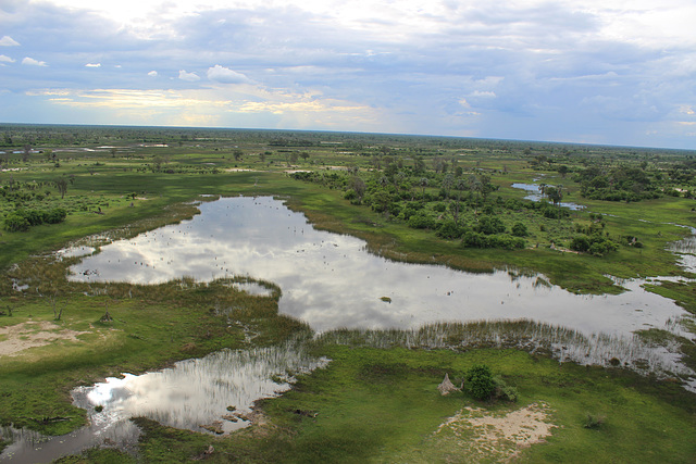 View over the Okavango Delta